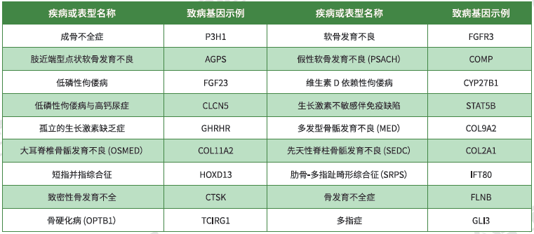 【焦点娱乐焦点基因检测】<font color='red'><font color='red'>骨骼</font><font color='red'>系统</font><font color='red'>疾病</font></font>致病基因鉴定基因解码